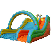 cheap inflatable slides